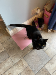 Come and tell me your dull and unexciting news 28: Calmly through the day