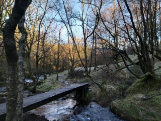 To ask you to show me your beautiful parts of the country