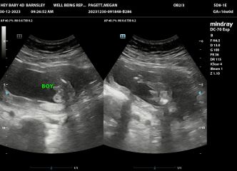 Due June 24 💚 - Part 2
