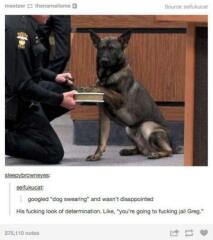 its January and miserable. Please post something that always makes you laugh.