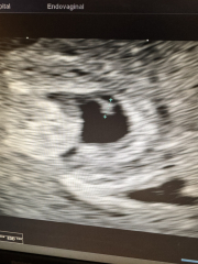 Due September 2024 PART 2 💛🧡💚💙💜