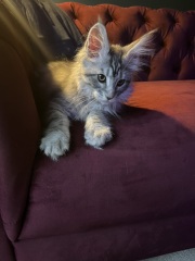 Help name this little girl