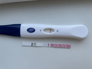11DPO - is this a squinter?😬