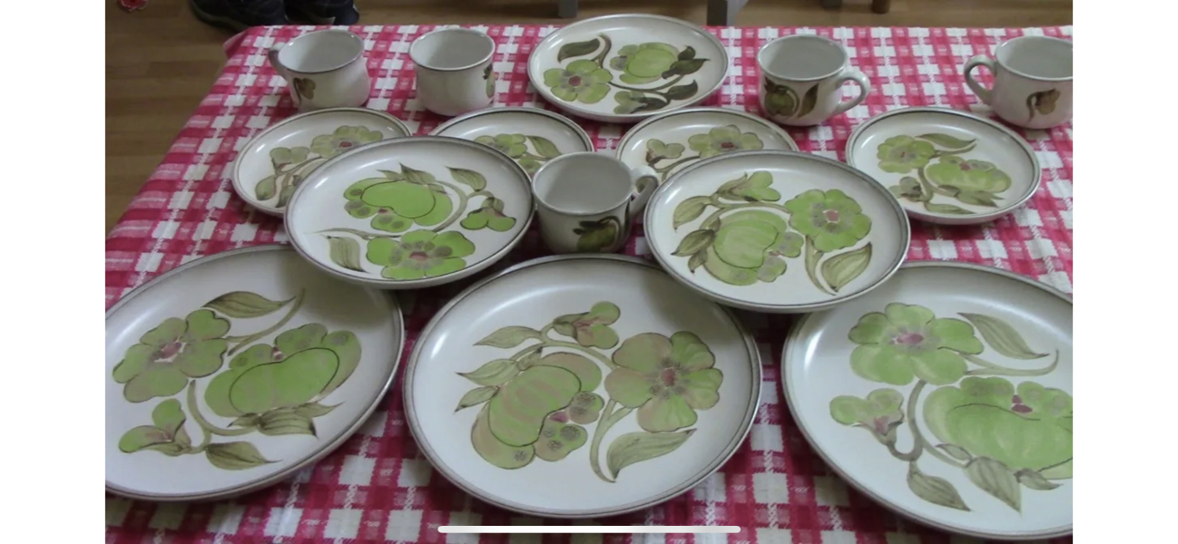 The Only True Dinner Plates Are White