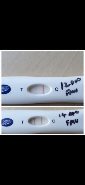 Does this look like line progression? Worried about another loss!