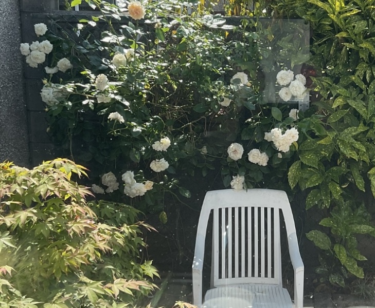 What have you done in the garden today? Part 3