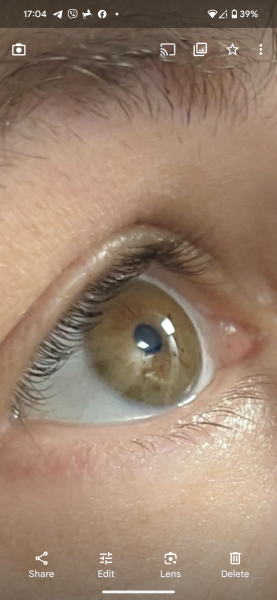 Hazel or Brown? Pic included