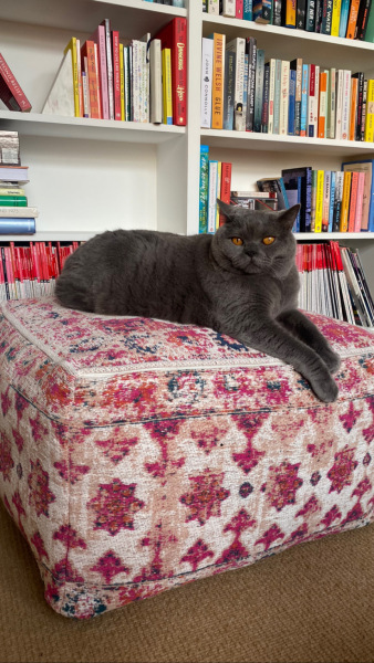 How much does your BSH weigh?