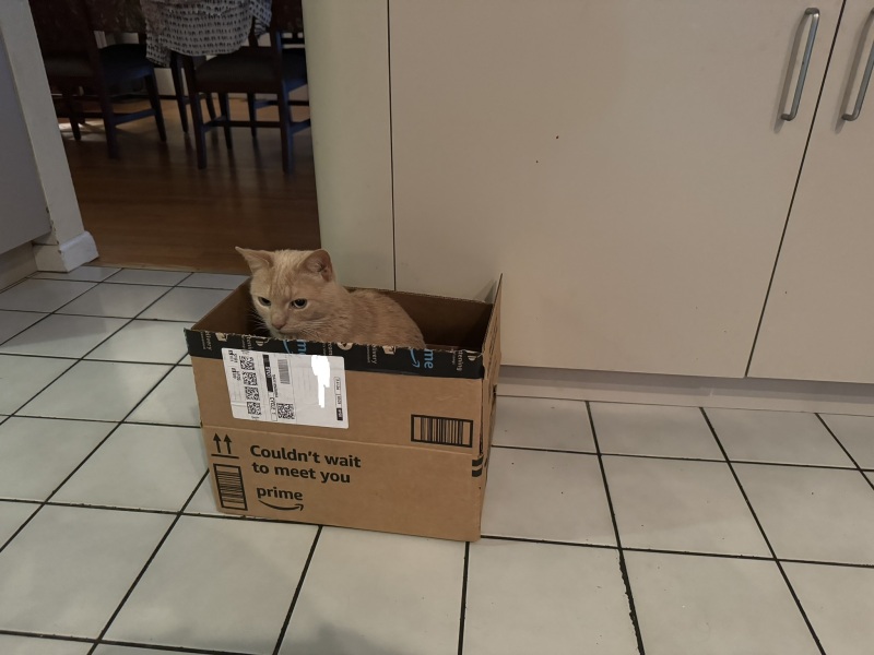 Come and tell me your dull and unexciting news 29: Calmly through the day