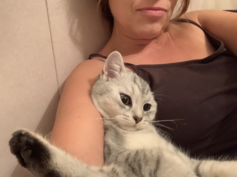 Does anyone look at their cat and think...