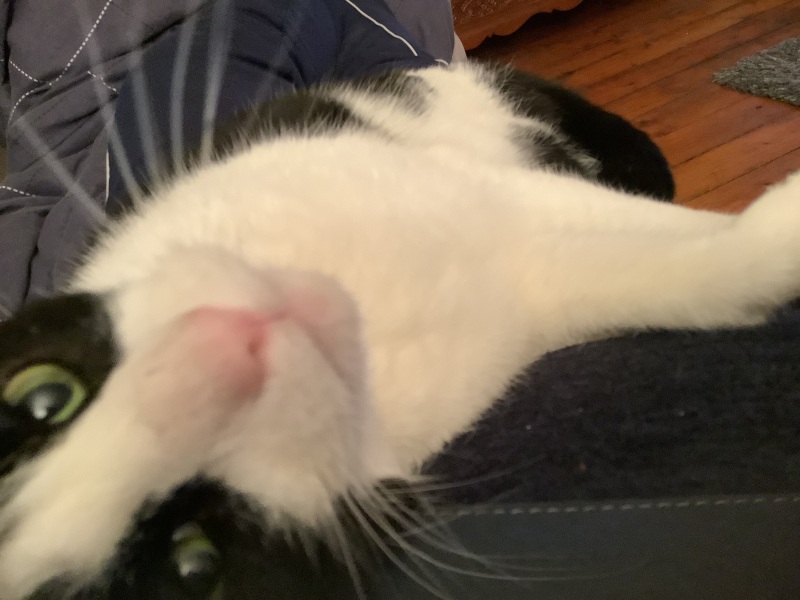 Great British Menu 2024 Thread 2