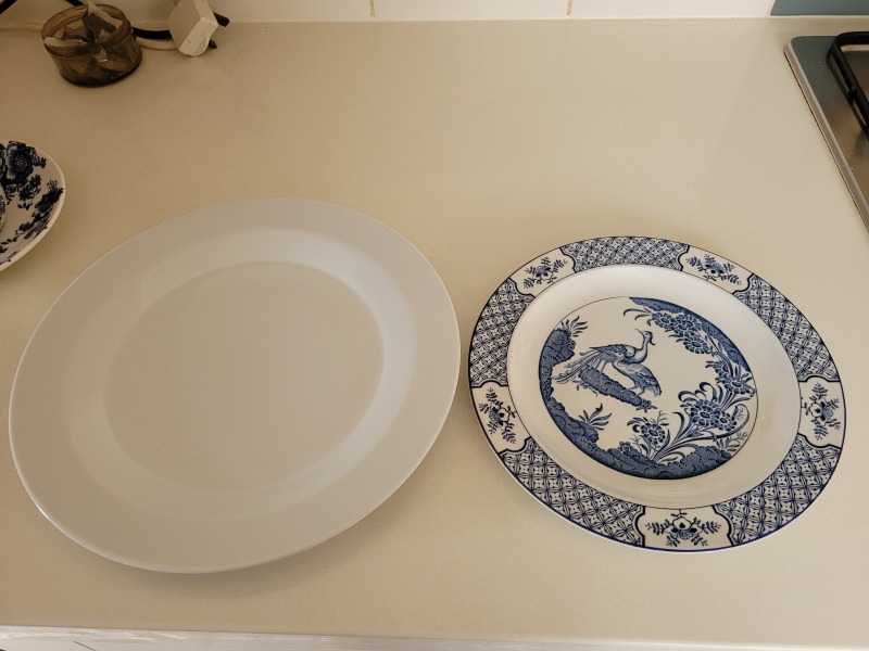 Why are modern dinner plates so fucking massive???