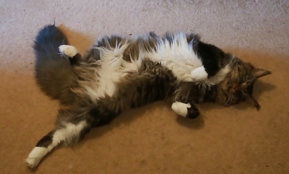 Come and tell me your dull and unexciting news 28: Calmly through the day