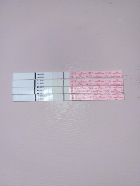 110dpo 12dpo and 14dpo