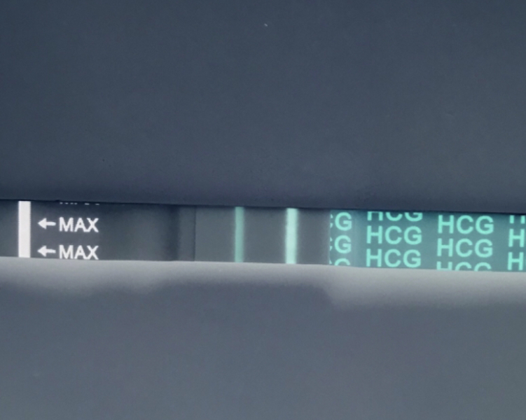 TTC February 2024 ✨