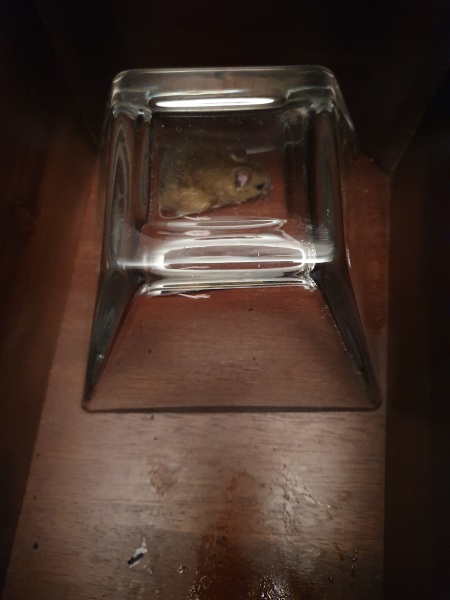 Thread 12 - TalkLair: “I say we take off and nuke the entire site from orbit. It's the only way to be sure.”