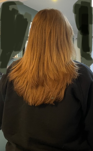 Layered Hair - with pic