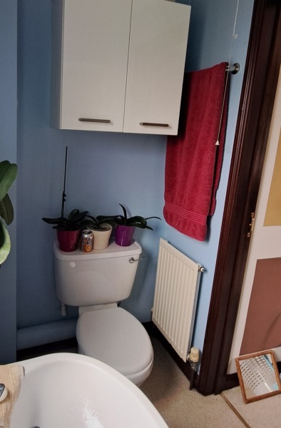 Walk in shower - 1200 x 800 - too small?