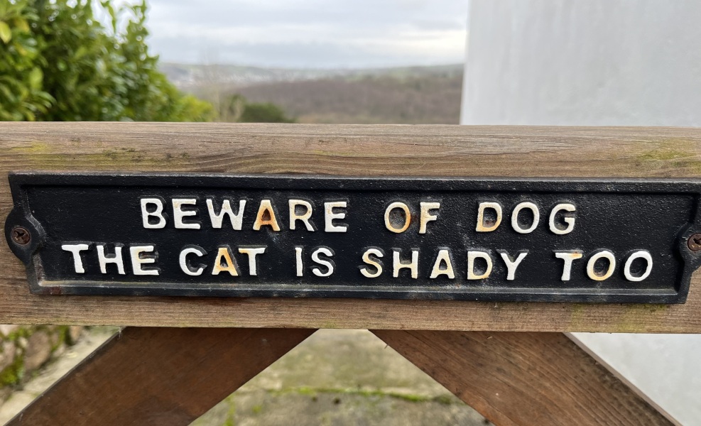 Cancer Support Thread 92 - Christmas Happy Hour at the Patience Inn 7pm tonight 🎄