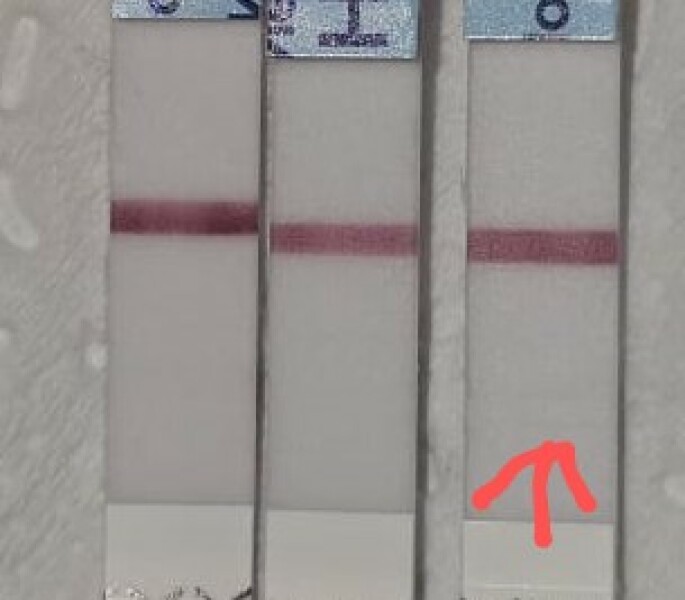 TTC February 2024 ✨