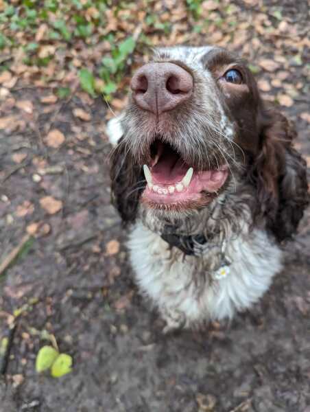 THE WAY. MON BBC 9pm. Tv pace. NO SPOILERS