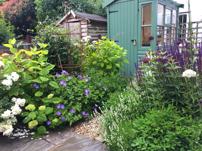 Shed location dilemma