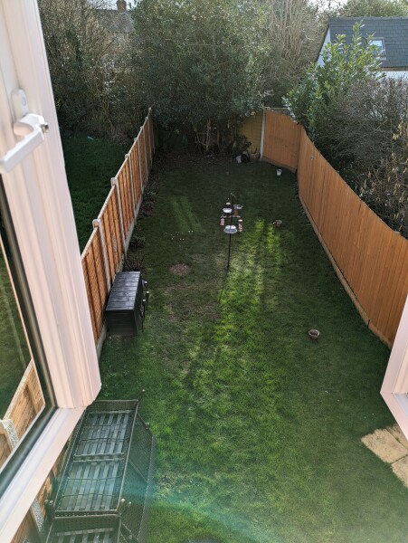 Shed location dilemma