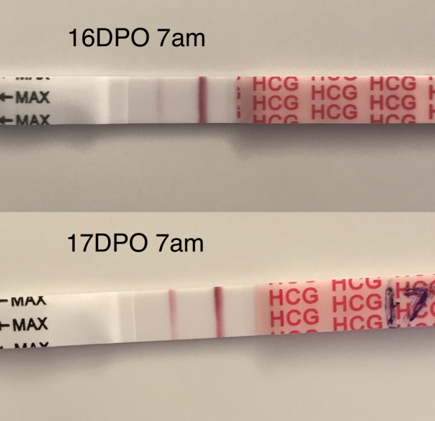 Anyone TTC Dec 2023…continued