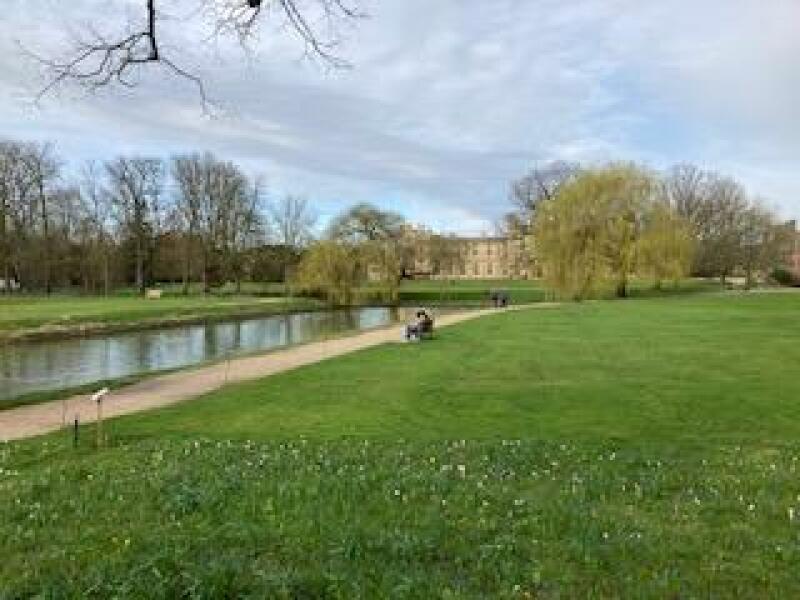 Come and tell me your dull and unexciting news 29: Calmly through the day