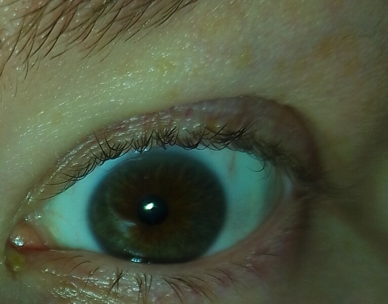 Hazel or Brown? Pic included