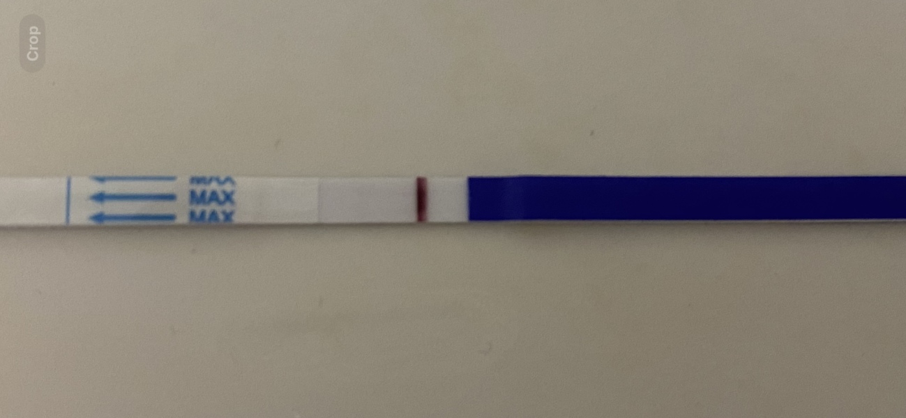 TTC February 2024 ✨