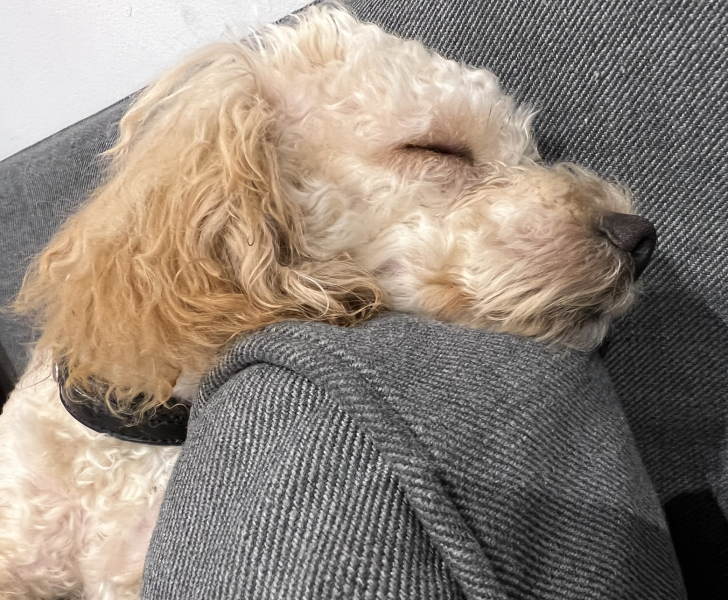 The happy Place Café is still open - 2024