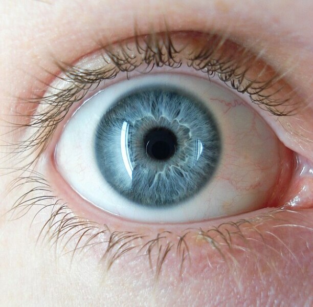 Hazel or Brown? Pic included
