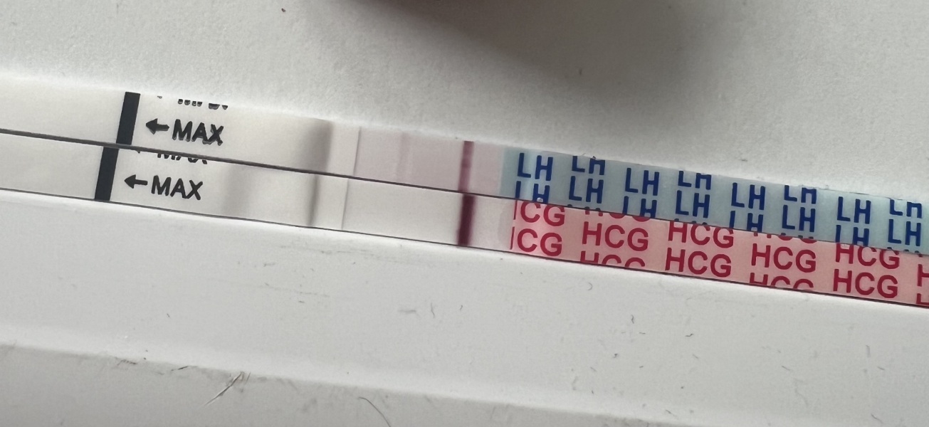 Sick in wondfo keep getting indent lines