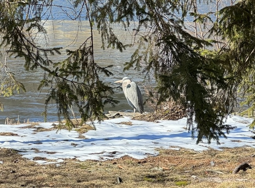 Come and tell me your dull and unexciting news 28: Calmly through the day