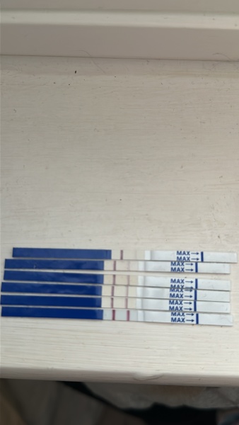 Due September 4.5 🐣♥️🧡💜