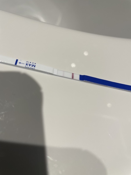 OCTOBER 2024 BABIES!