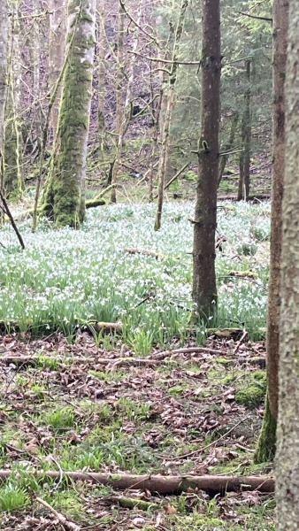 Come chat hiking with me!