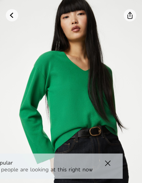 Pls help. Plus size help needed. Huge meeting next week.