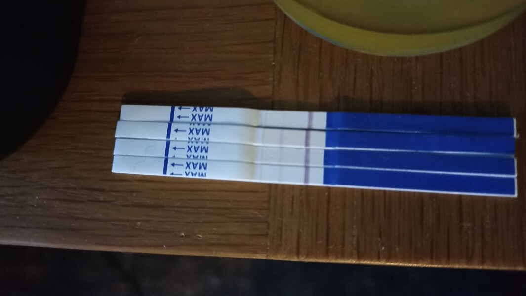Are these progression lines too light?