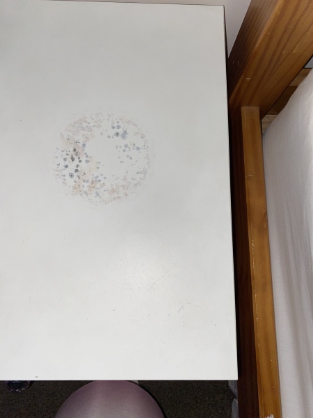 PLEASE help me rescue this mouldy furniture!!!!!!!