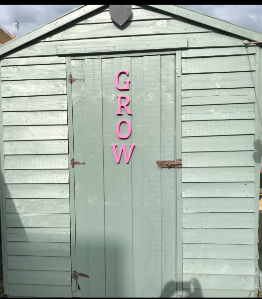 Aibu to want a new shed?