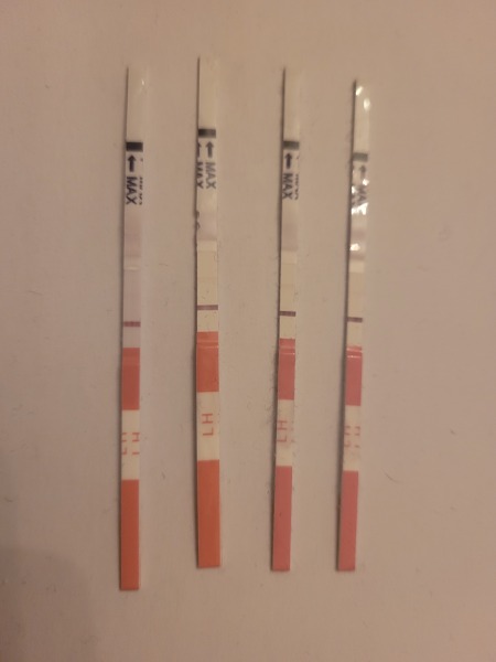 Anyone TTC Dec 2023…continued