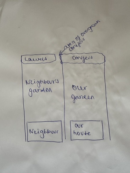Who is responsible for trimming hedge? With diagram!
