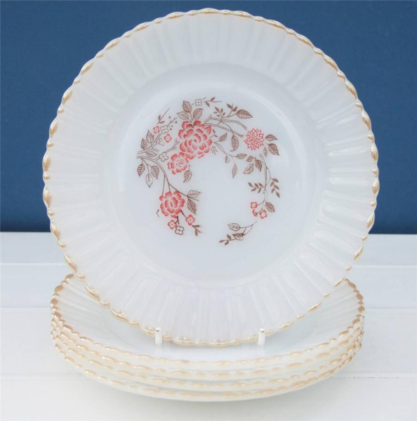 The Only True Dinner Plates Are White