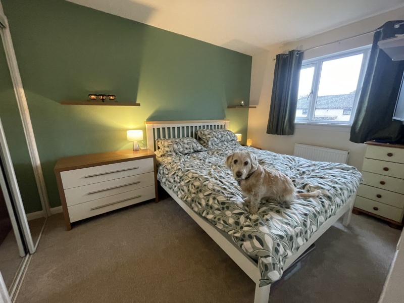 Dulux - tranquil dawn