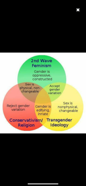 What does your network think about trans people?