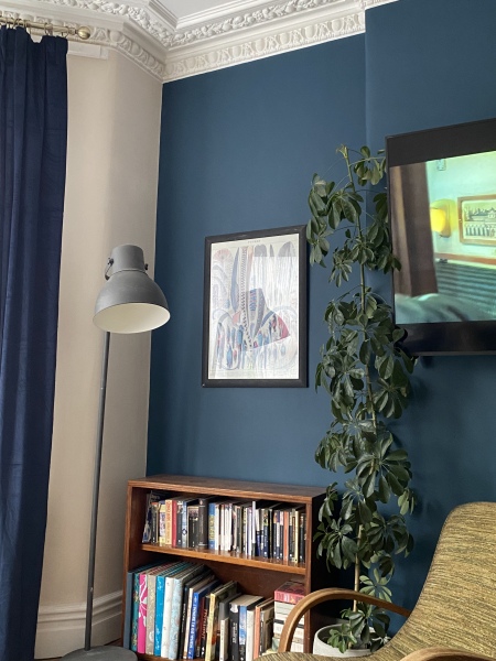 Which colour curtains?