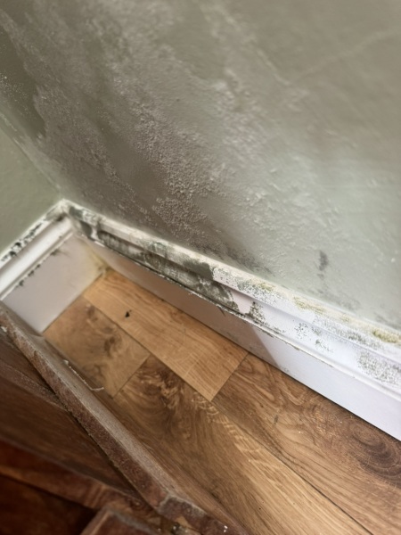 Mould growing on cold walls ?