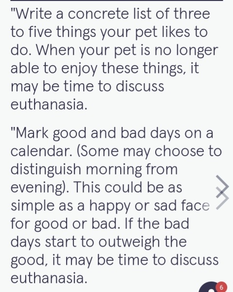 Please can I talk about an eldery dog